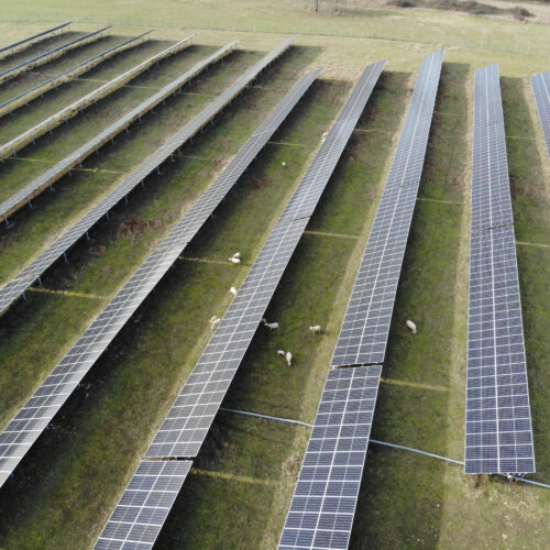 Parc agrivoltaïque ovin