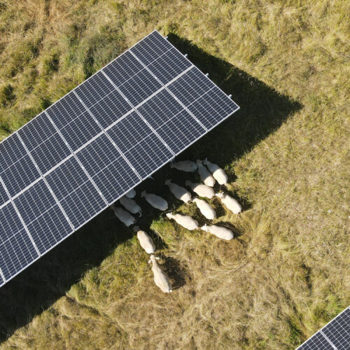 La Tour Blanche (24)