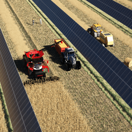 Blé Grandes Cultures